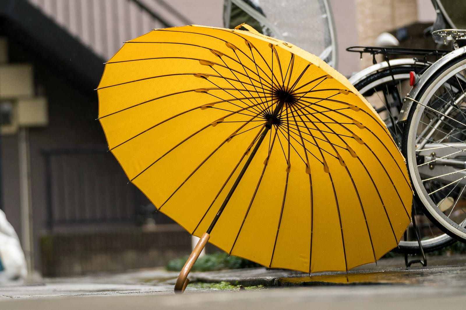 Weather-Resistant Design