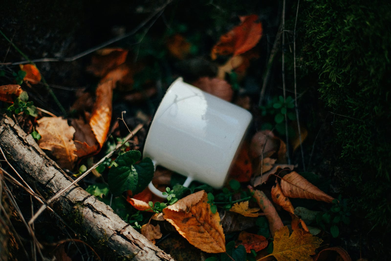 Trail Mug steaming on a rock ledge at sunrise